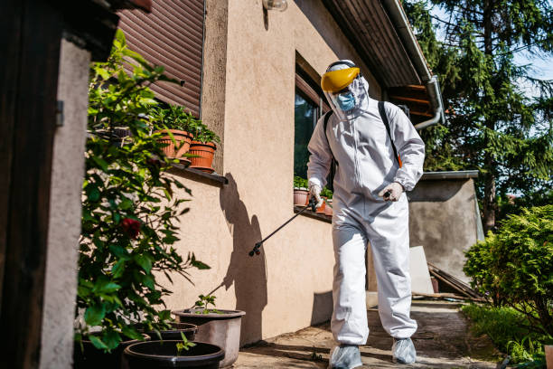 Best Affordable Pest Control Services  in Seminole, OK