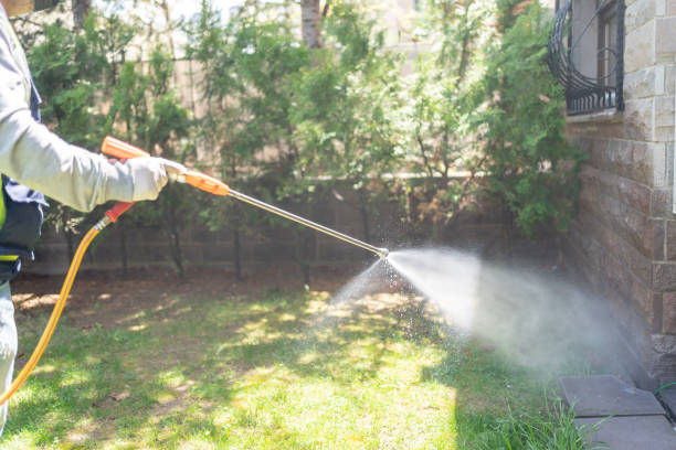Best Spider Control Near Me  in Seminole, OK