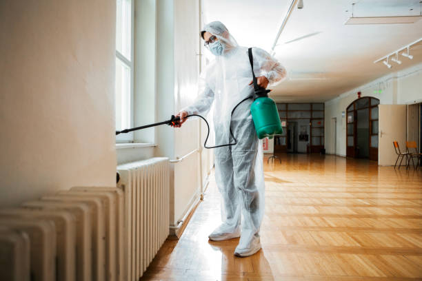 Best Flea Control Services  in Seminole, OK