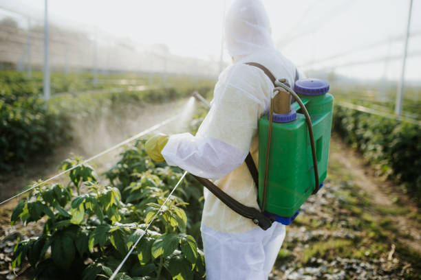 Best Cockroach Control Services  in Seminole, OK